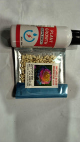 Rainbow Rose Seeds with Free Plant Growth Serum Pack of 2